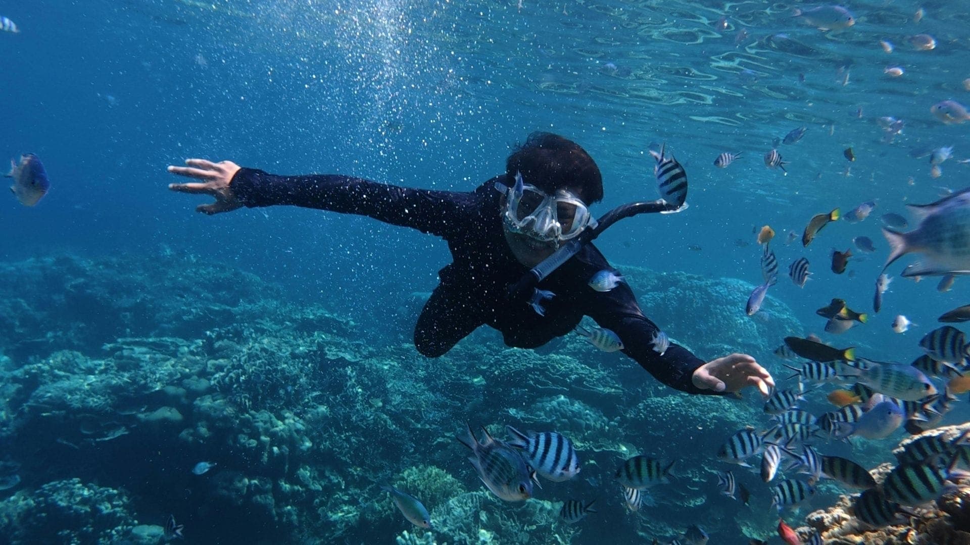 Gili Islands Snorkeling